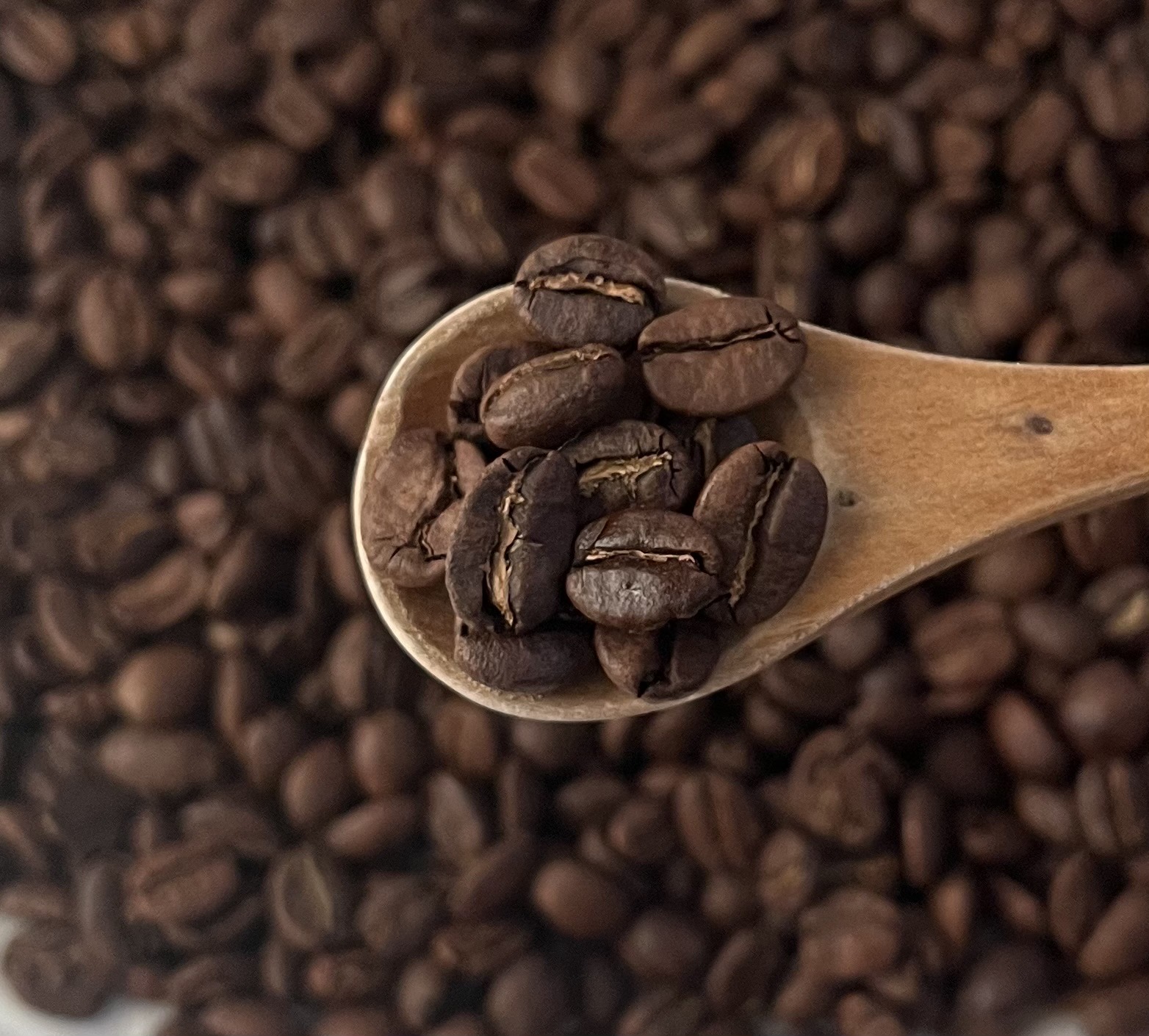 自家焙煎コーヒー豆
